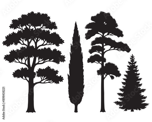 Set of conifer and evergreen tree silhouettes, pine, cypress, and spruce vector icons isolated on white
