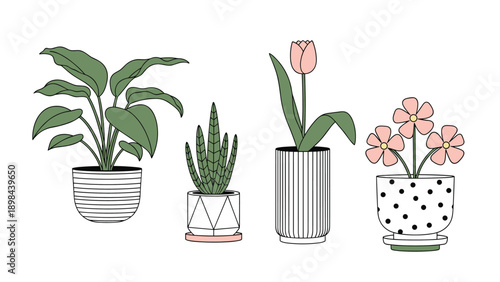 collection of four diverse houseplants in decorated ceramic pots including a leafy tropical plant a snake plant and flowering varieties.