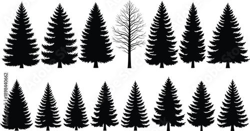 Black pine and fir tree silhouettes collection with one leafless tree, minimalist forest icons isolated on white background