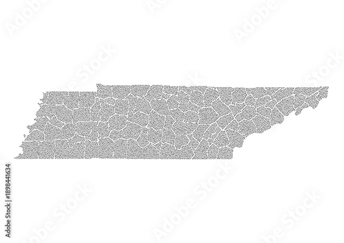 Abstract Tennessee US State Map Organic Maze Style Line Art Vector Illustration Modern Wall Decor Print