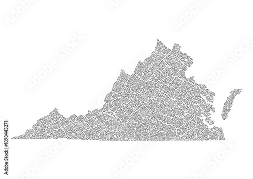 Abstract Virginia US State Map Organic Maze Style Line Art Vector Illustration Modern Wall Decor Print