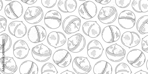 macadamia nut pattern background. seamless pattern of macadamia nuts. Doodle Macadamia pattern background. doodle macadamia seamless pattern.