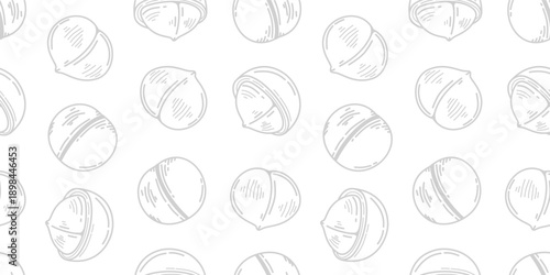 macadamia nut pattern background. seamless pattern of macadamia nuts. Doodle Macadamia pattern background. doodle macadamia seamless pattern.