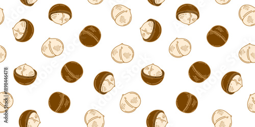 macadamia nut pattern background. seamless pattern of macadamia nuts. Doodle Macadamia pattern background. doodle macadamia seamless pattern.