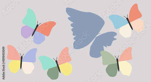 Colorful butterflies in flight against a gray background.