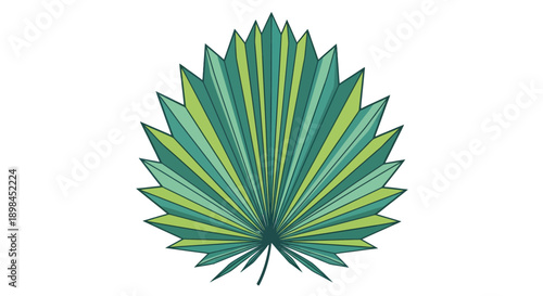 Stylized green fan palm leaf illustration with tropical botanical