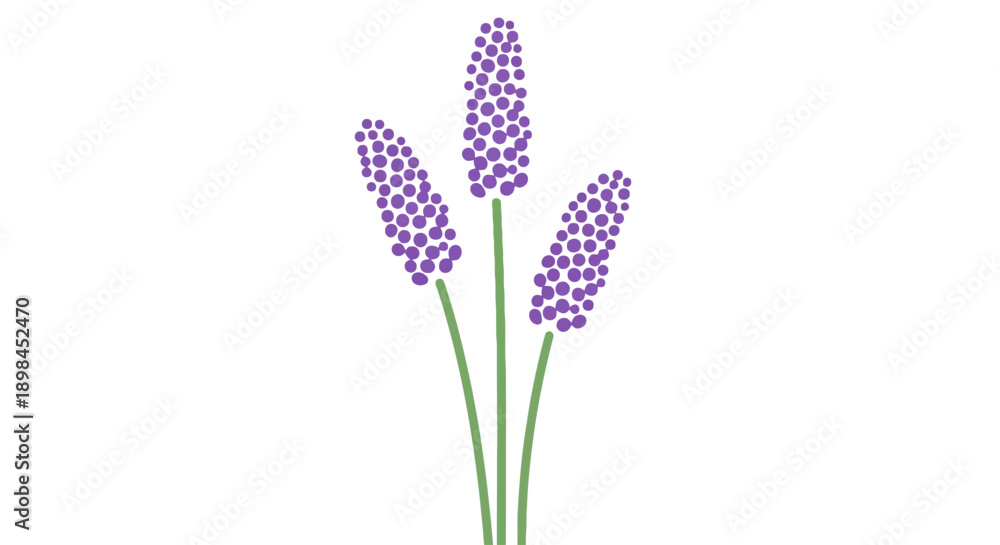 Obraz premium Elegant stylized lavender flower bouquet graphic with minimalist