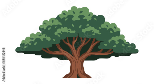 Stylized oak tree illustration with green leaves standing on white