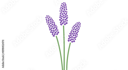 Elegant stylized lavender flower bouquet graphic with minimalist