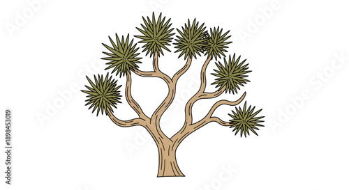 Stylized Joshua tree desert plant illustration on a white background