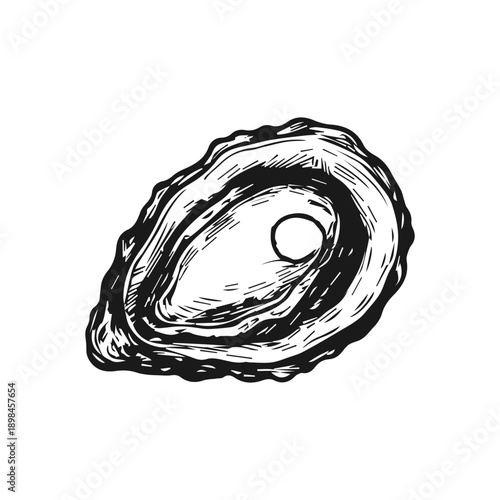 Hand drawn illustration of oyster showing a pearl