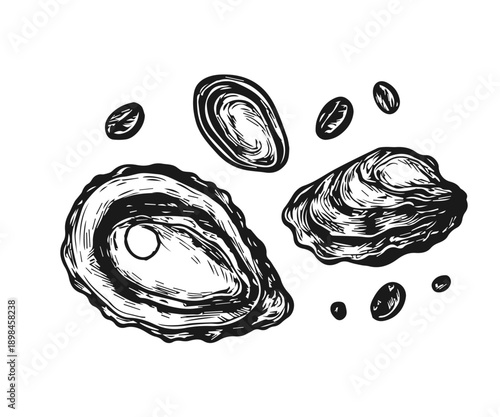 Hand drawn sketch oysters with pearl and mussels