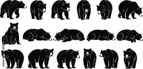 Black bear silhouettes set with fifteen various poses, walking, sitting, standing, and resting grizzly icons, minimalist wildlife vector on white background