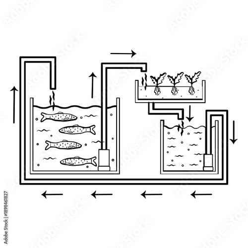 Integrated Fish and Plant Farming system concept, Aquaponics process flow vector icon design, Aquaculture and aquafarming stock illustration