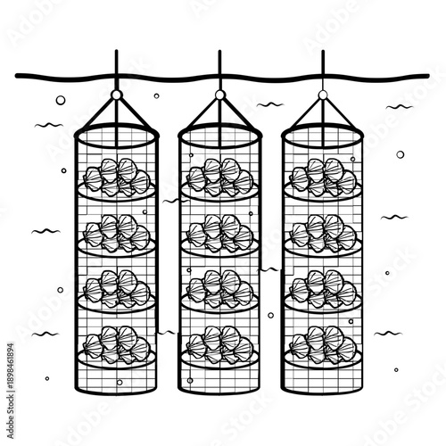 Oyster and Mussel Farming concept, Scallop Farming Hanging Cage vector icon design, Aquaculture and aquafarming stock illustration
