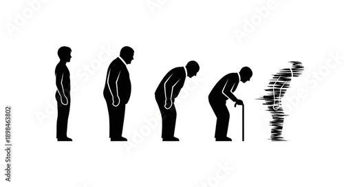 Human aging process silhouette evolution from youth to old age.