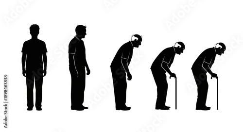 Human aging process silhouette progression from young to old.