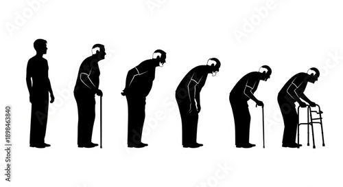 Human aging process silhouette progression from young to old.