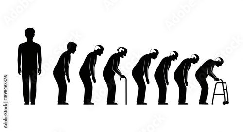 Human aging process silhouette progression from young to old.