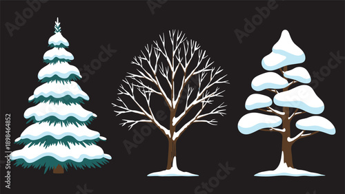 Three types of winter trees covered in white snow including a pine tree and deciduous trees isolated on a dark background for design.