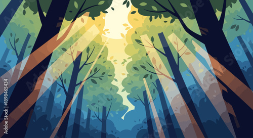 Sunlight streams through the lush green canopy of a dense forest, creating a serene and natural atmosphere.