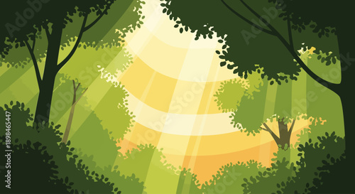 Sunlight streams through the lush green canopy of a dense forest, creating a serene and natural atmosphere.