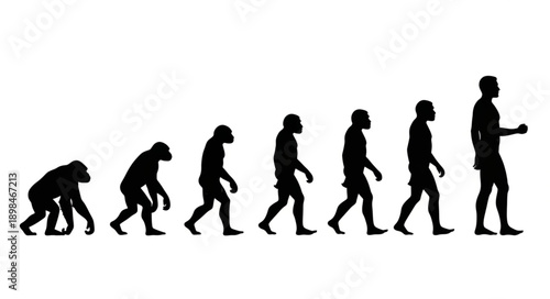 Human Evolution Silhouette Sequence Showing Progression From Ape To Man.