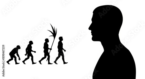 Human Evolution Silhouette Showing Progress From Ape To Modern Man.