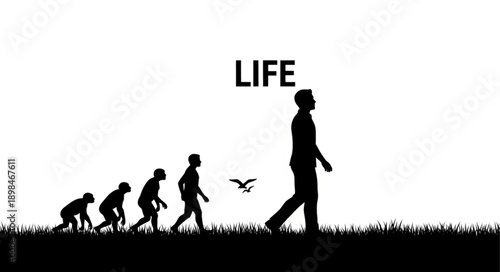 Human Evolution Life Cycle Silhouette.