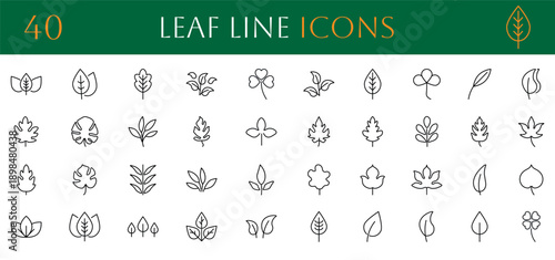 Leaf and plant line icon set. Collection of organic nature symbols including maple, oak, and garden foliage. Linear vector illustration for eco friendly branding and environment web design. Vector.