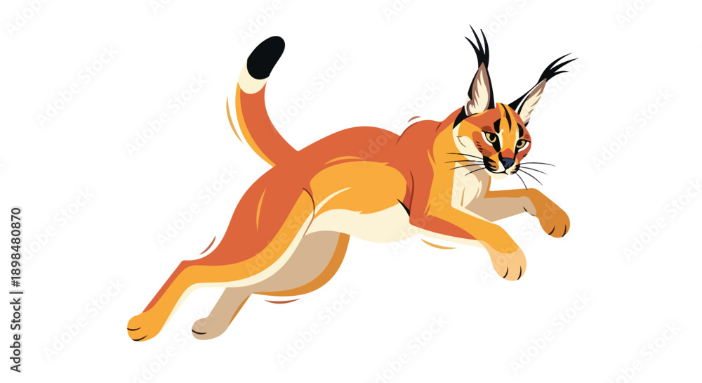 Fototapeta premium Dynamic Caracal Wild Cat Leaping Illustration