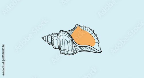 Elegant and minimalist line art illustration of a spiral conch seashell, presented on a simple light blue background.