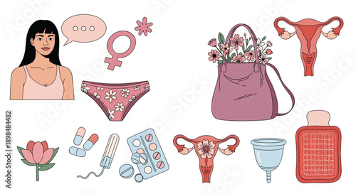 Comprehensive collection of items related to the female reproductive system and menstruation, including pads and tampons.