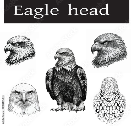 Print, eagle head