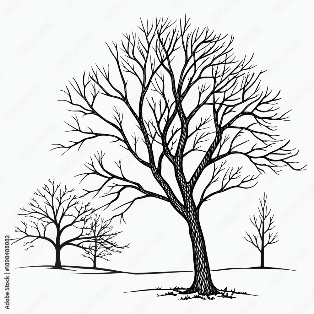 Obraz premium A minimalist black winter tree silhouette vector with bare branches isolated on a white background captures a cold nature landscape