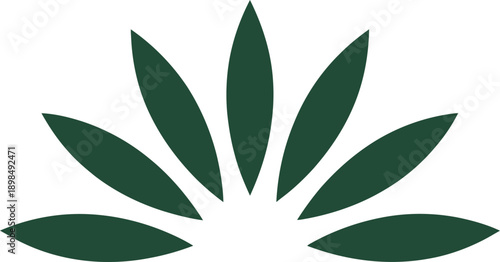 Simple abstract green leaf petals arranged in an arch or half-circle shape. Nature and plant concept. Vector illustration or icon