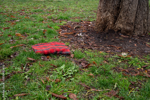 Folded red plaid lying on the grass next to a large tree. Outdoor scene showing a personal item, representing leisure, picnic, and casual lifestyle.