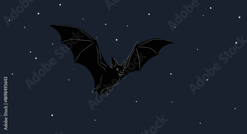 Bat Silhouette Flying Against Starry Night Sky