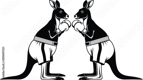 Boxing kangaroo illustration showing two fighting marsupials wearing gloves and shorts facing each other, black and white sports animal artwork isolated on white background