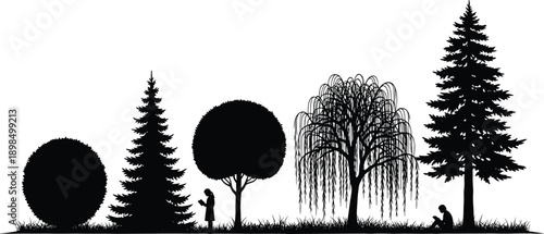 Black silhouettes of pine, willow and deciduous trees with grass and people figures, vector illustration isolated on white background for landscape design.