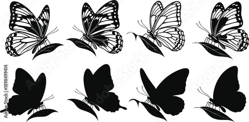 Butterfly silhouette and line art collection, black monarch insect vector set, cute flying moth on leaf, nature garden illustration, isolated white background.