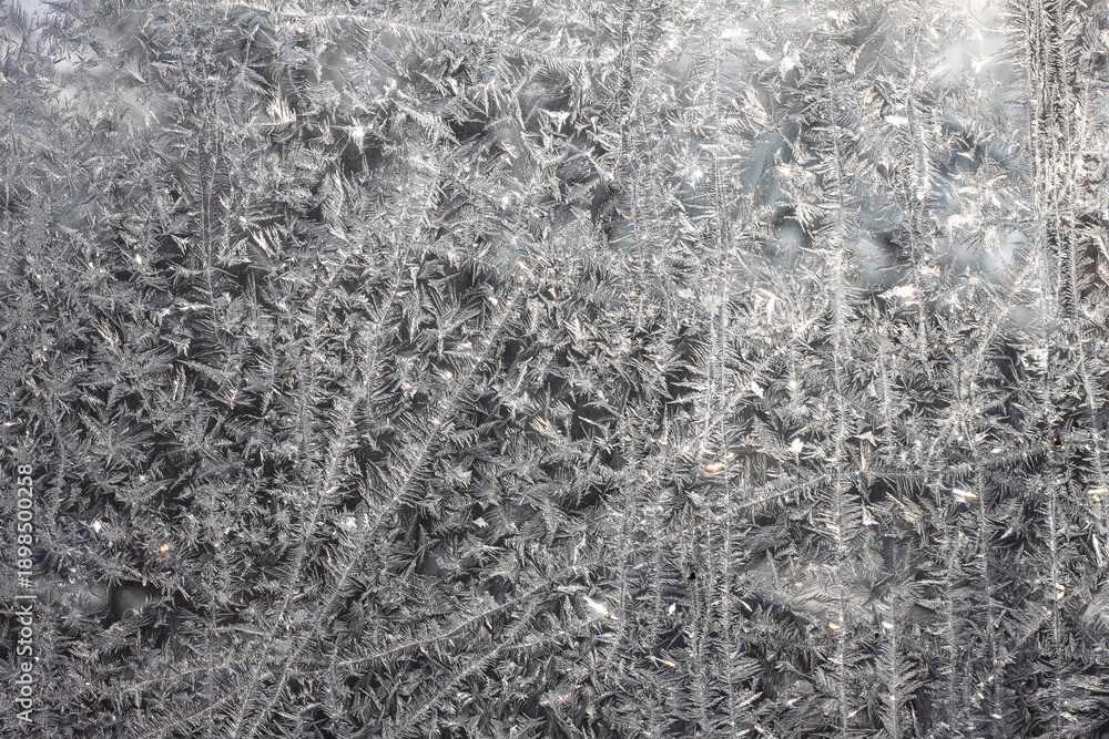 Fototapeta premium Beautiful winter background with frosty pattern on glass