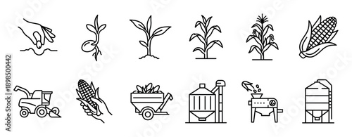 Corn farming and production process line icons set showing the complete lifecycle from sowing seed to harvesting, processing, and storage in a silo