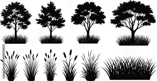 Collection of black tree silhouettes with grass bases and marsh reed plants, vector illustration isolated on white background for nature landscape design.
