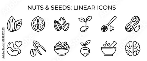 Black and white linear icons of nuts and seeds including almond, walnut, peanut, and cashew for healthy eating and superfood concepts, presented in a clean minimalist outline style