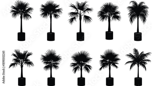 Collection of potted palm tree silhouettes featuring various tropical plants, black vector illustration isolated on white background for interior and garden design.