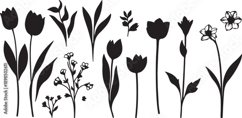 Would you like me to generate a similar descriptive string for a different flower variety?