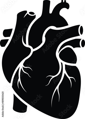 Stylized black human heart illustration with branching arteries and veins, symbolizing cardiology and life, isolated on transparent grid background
