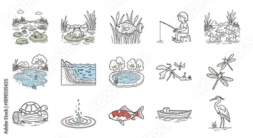 Collection of Hand Drawn Water Life Illustrations.