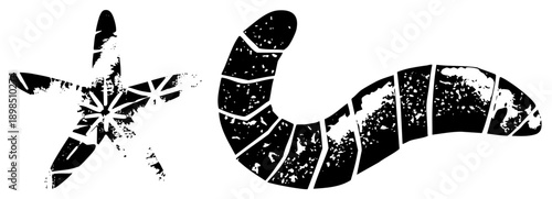 Distressed black and white starfish and segmented worm, vector cutouts with gritty texture, marine life, isolated graphic elements, stylized sea creatures.